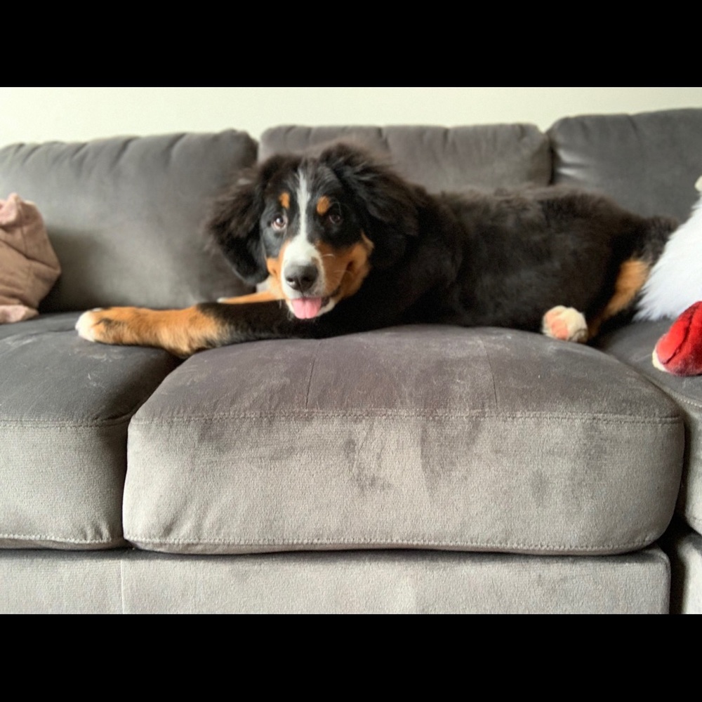 Meet your Posher, Stephanie